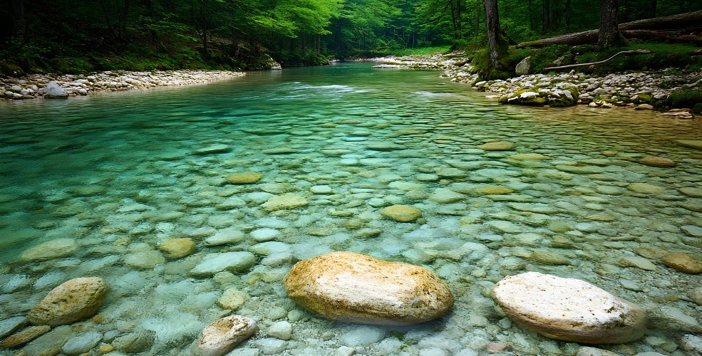 Crystal-clear river flowing over smooth stones in a peaceful green forest, symbolizing natural clarity and inner wisdom.